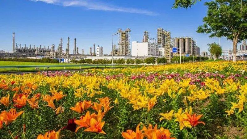 耐高温高分子材料：如何选择合适的批发产品**